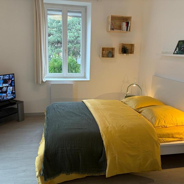Le Nid de Louise, studio Mulhouse avec terrasse - Apartamento de 1 dormitorio - 2