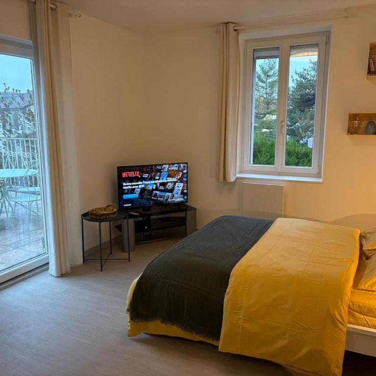 Le Nid de Louise, studio Mulhouse avec terrasse - Apartamento de 1 dormitorio - 6