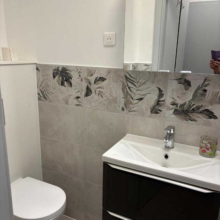 Le Nid de Louise, studio Mulhouse avec terrasse - Apartamento de 1 dormitorio - 7