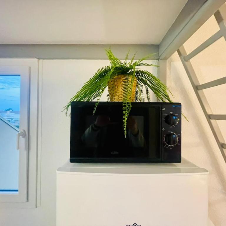 4 Soleil - Mezzanine Wifi Clim Plage Parking - Appartement 1 Chambre - 5