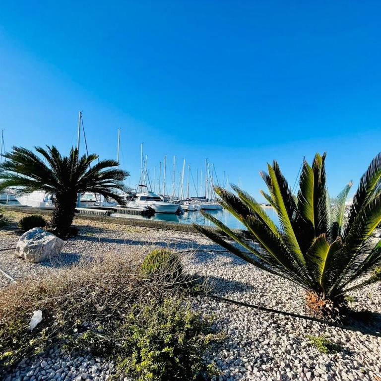 4 Soleil - Mezzanine Wifi Clim Plage Parking - Appartement 1 Chambre - 18