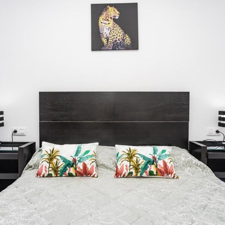 Casa Bonita - Apartamento de 2 dormitorios - 31