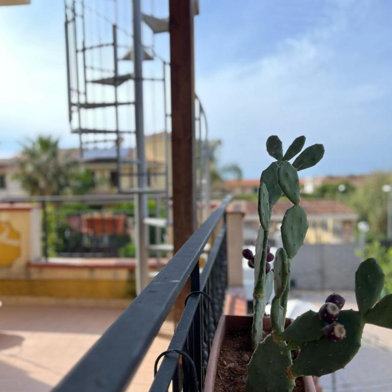 Casa Marina - Apartamento de 2 dormitorios - 1