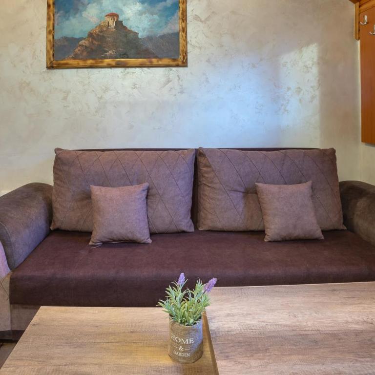 Hotel Pavlović - Standard Apartment - 4
