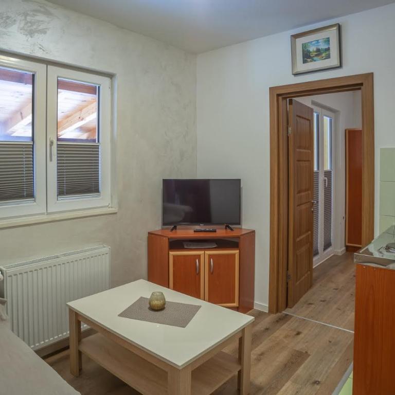 Hotel Pavlović - One-Bedroom Apartment (2 Adults) - 4