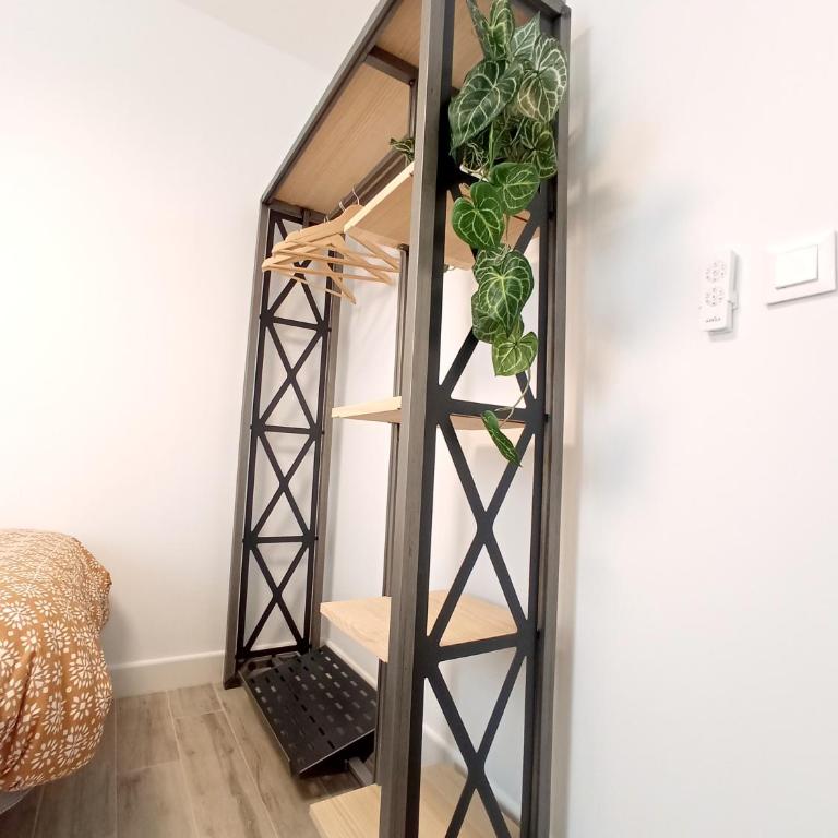 Apartamento Cordobés - Apartamento de 2 dormitorios - 23