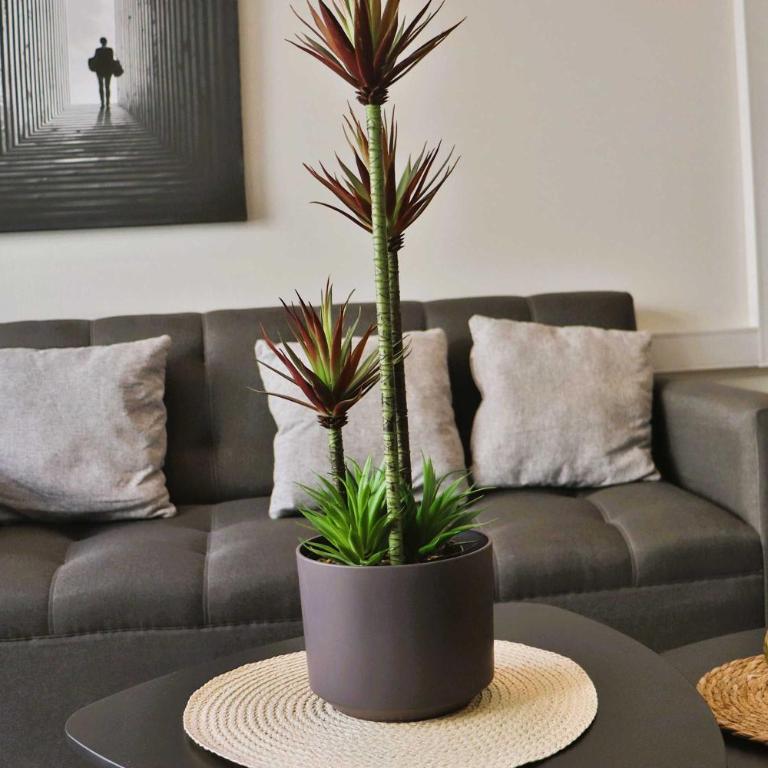 HOM I Renovado Depto 1D1B en metro Parque Almagro - Apartamento - 20