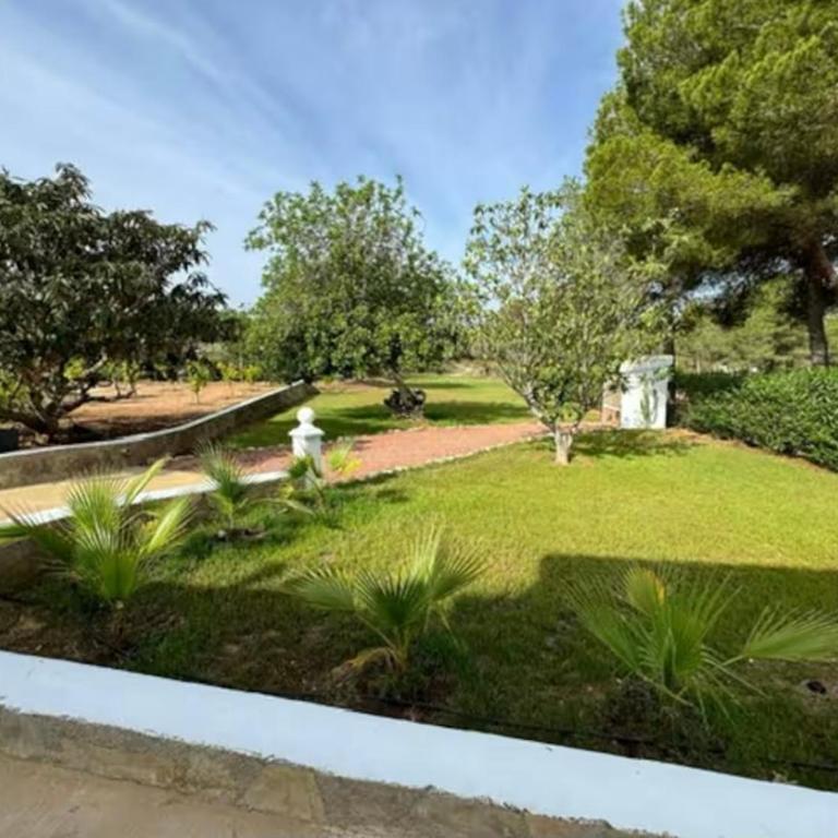 Villa Javea 10000 m carrés de jardin à 8 minutes de la plage - Villa de 4 dormitorios - 45