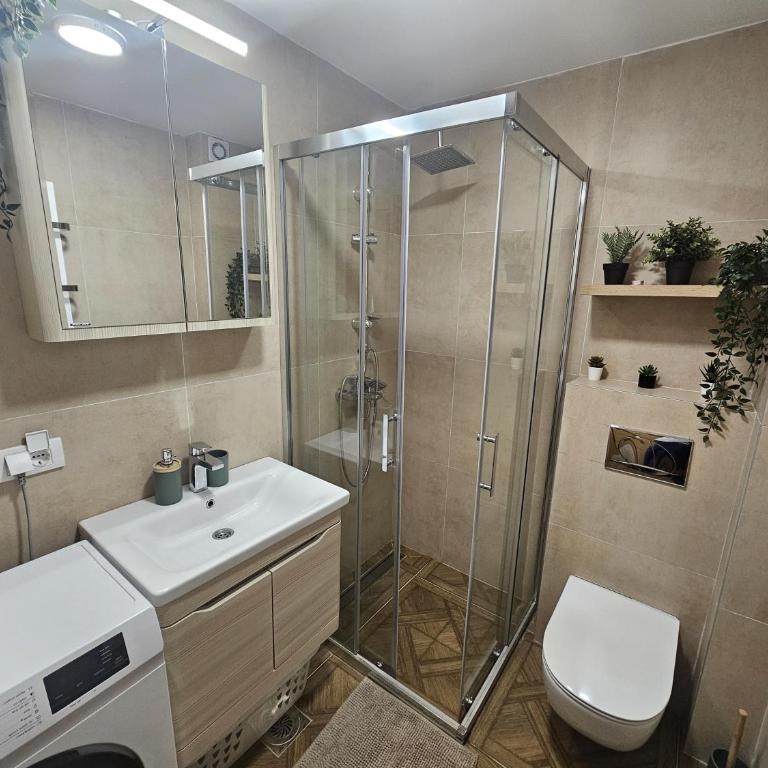 Beli Dvor Apartments SPA & Wellness - One-Bedroom Standard Apartment - 10