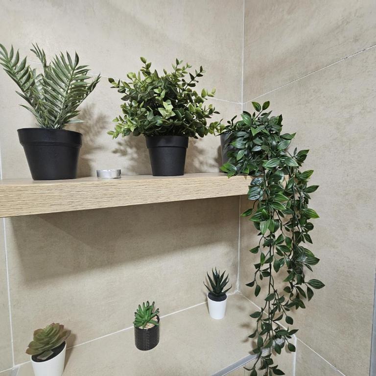 Beli Dvor Apartments SPA & Wellness - One-Bedroom Standard Apartment - 11