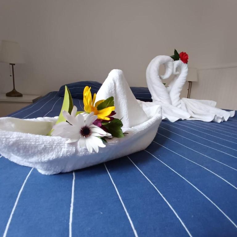 Légèreté aux Mûriers - Maison 1 Chambre - 6