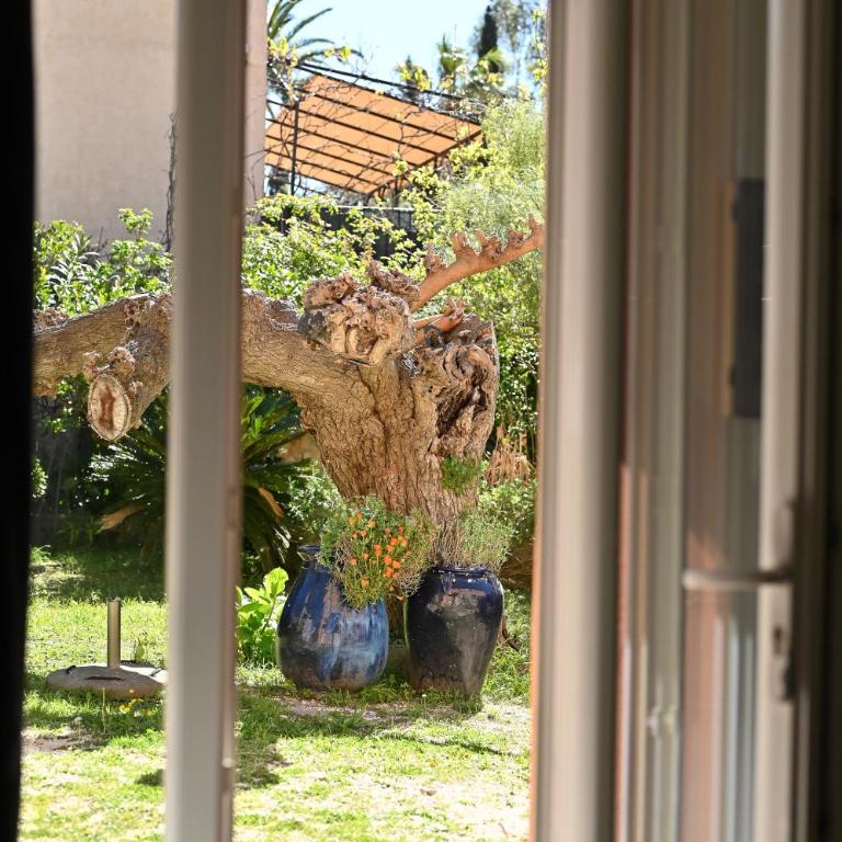 Légèreté aux Mûriers - Maison 1 Chambre - 9