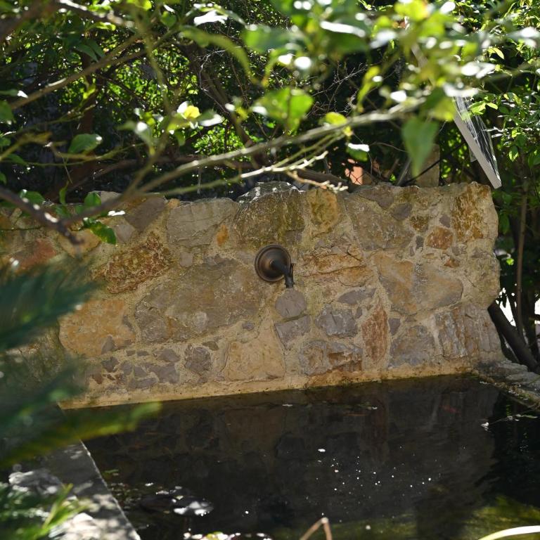 Légèreté aux Mûriers - Maison 1 Chambre - 14