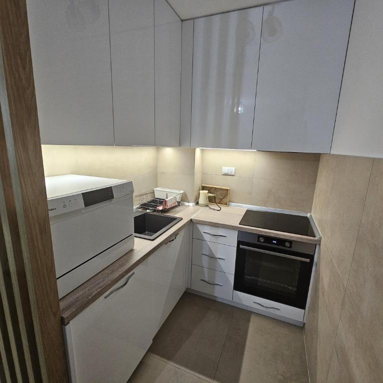 Beli Dvor Apartments SPA & Wellness - Urban One-Bedroom Apartment - 4