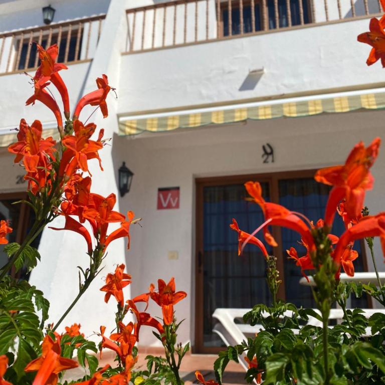 Butterfly House Vibbecanarias Maspalomas - Two-Bedroom Apartment - 29