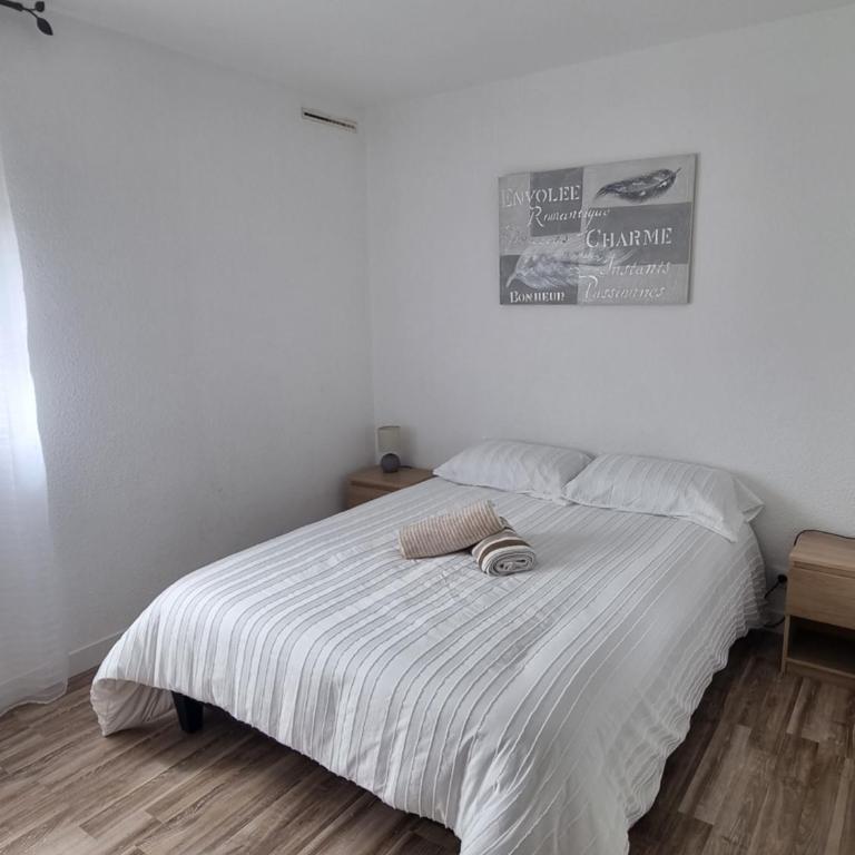 Front de mer, WIFI, Netflix, joli appartement 4 couchages, secteur Lydia Grande plage - Apartment mit 1 Schlafzimmer - 15