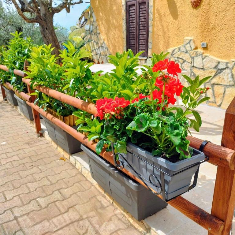 Villa Sant Anna - Casa Vacanze - 12