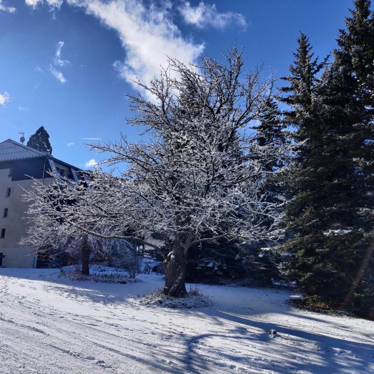 Charmant studio en Ubaye, randonnées et nature - Apartamento de 1 dormitorio - 27