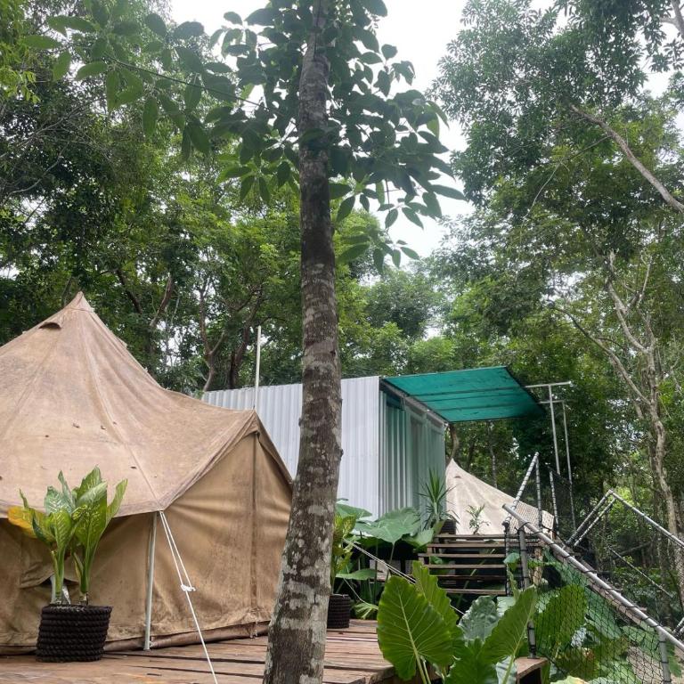 Cozumel Glamping - Tienda - 3