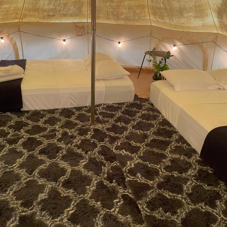 Cozumel Glamping - Tienda - 5