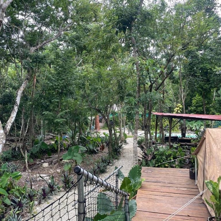 Cozumel Glamping - Tienda - 6