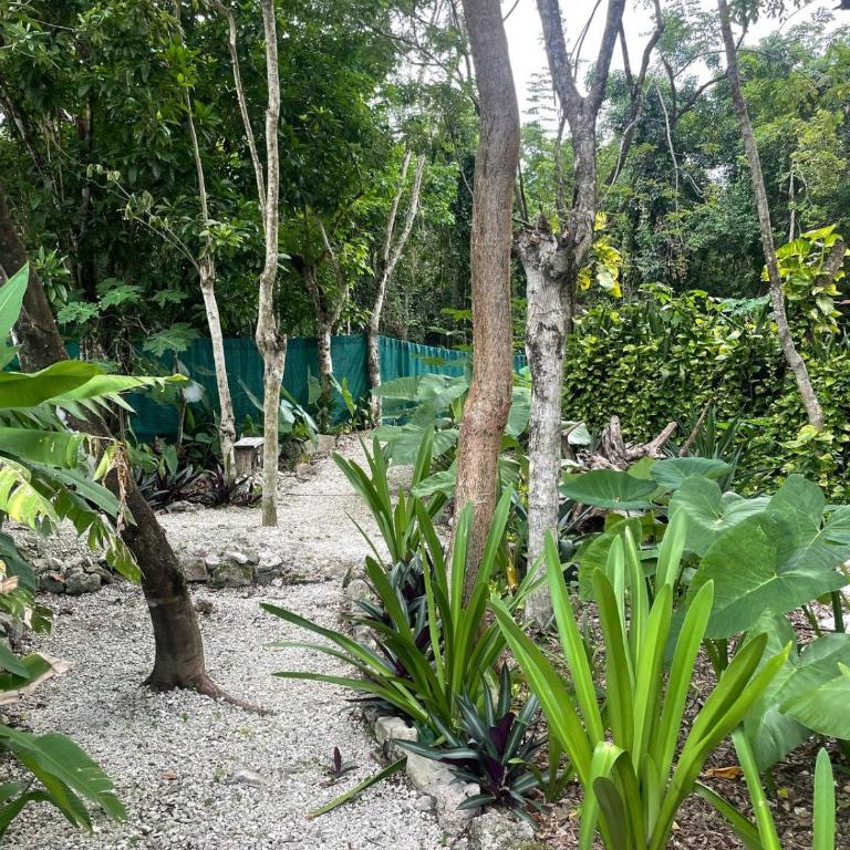 Cozumel Glamping - Tienda - 7