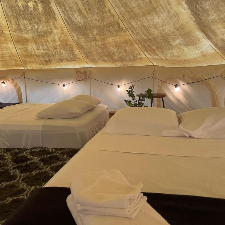 Cozumel Glamping - Tienda - 8