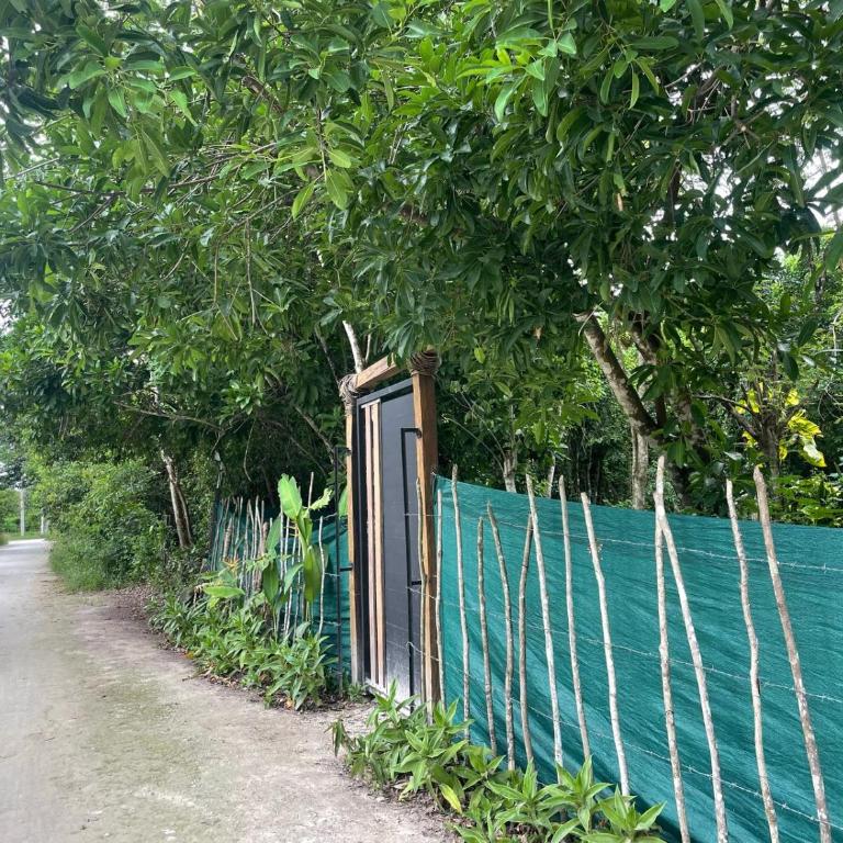 Cozumel Glamping - Tienda - 9