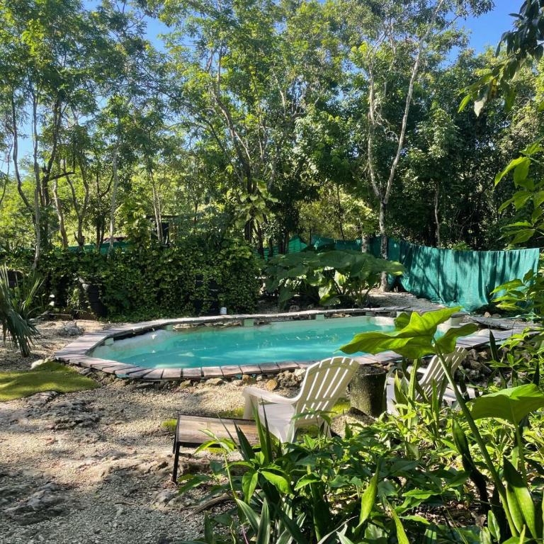 Cozumel Glamping - Tienda - 12