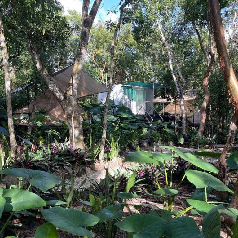 Cozumel Glamping - Tienda - 15