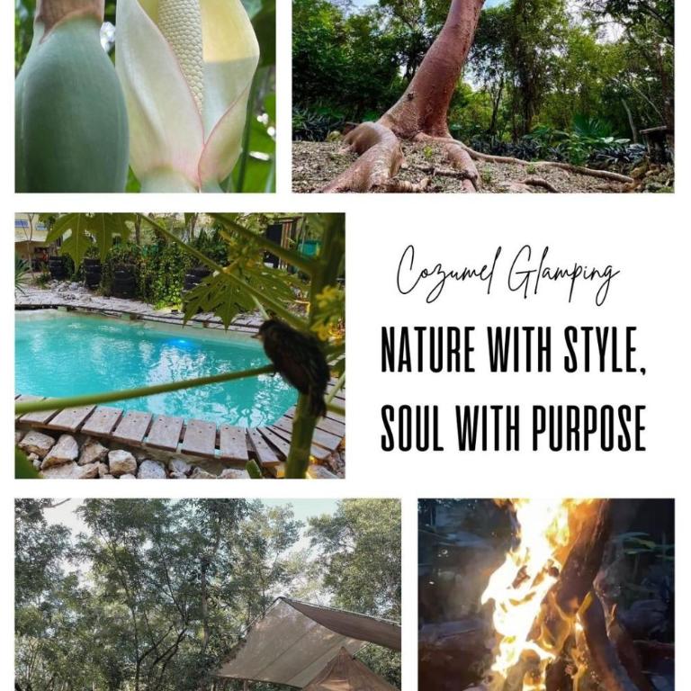 Cozumel Glamping - Tienda - 22