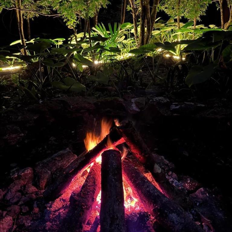 Cozumel Glamping - Tienda - 29