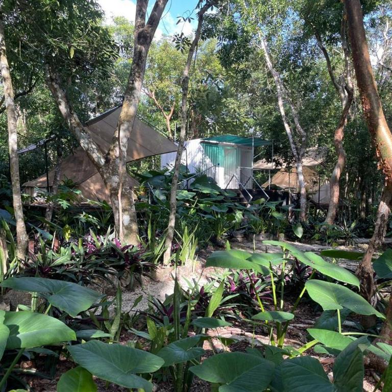 Cozumel Glamping - Tienda - 30
