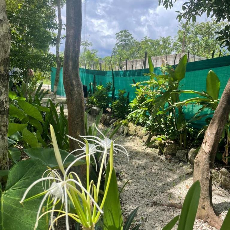 Cozumel Glamping - Tienda - 32