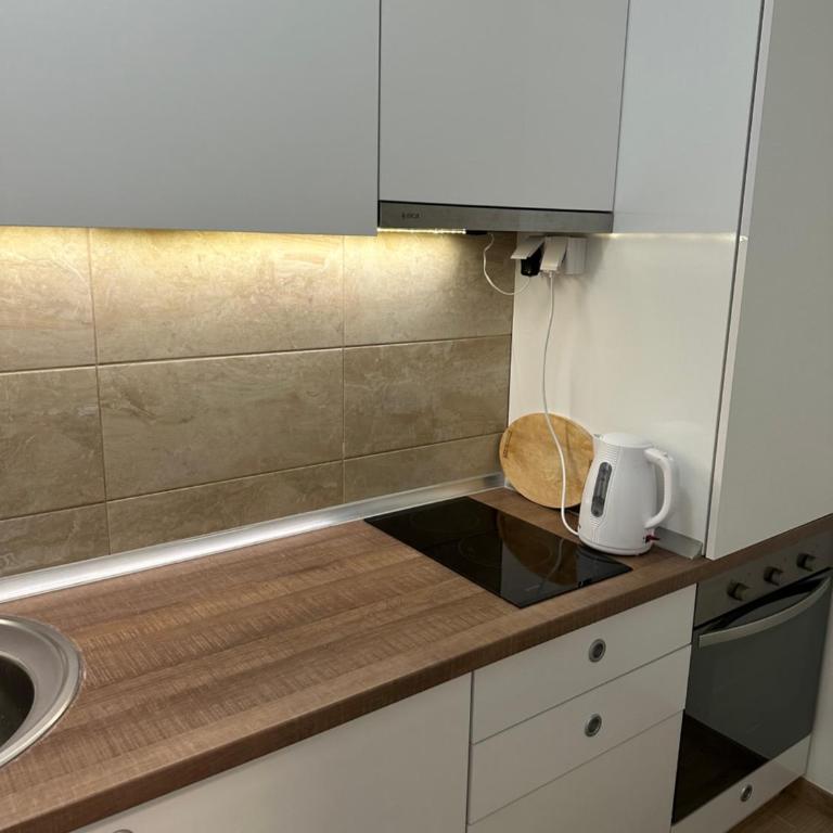 Lux apartment MOST Trebinje - Apartman sa 1 Spavaćom Sobom - 21