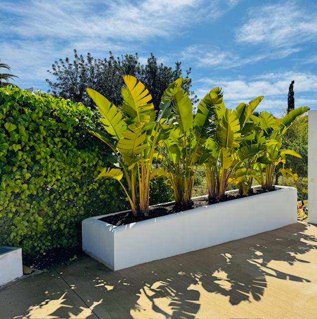 Villa Javea 10000 m carrés de jardin à 8 minutes de la plage - Villa de 4 dormitorios - 52