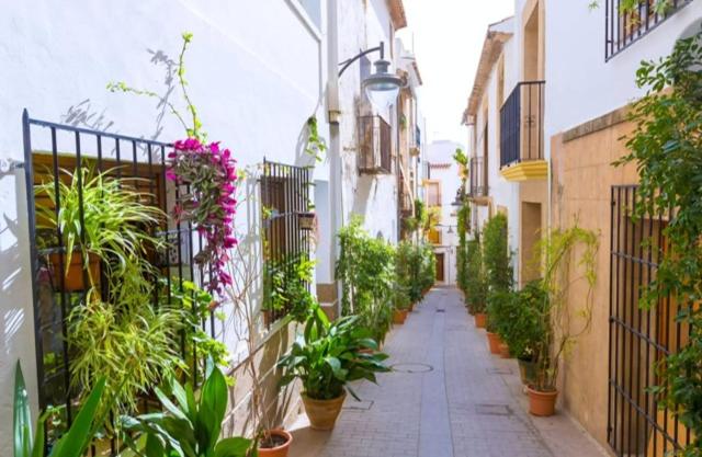 Villa Javea 10000 m carrés de jardin à 8 minutes de la plage - Villa de 4 dormitorios - 53
