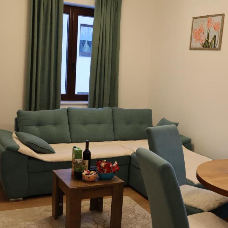Vila Akva - Apartman sa 1 Spavaćom Sobom - 10