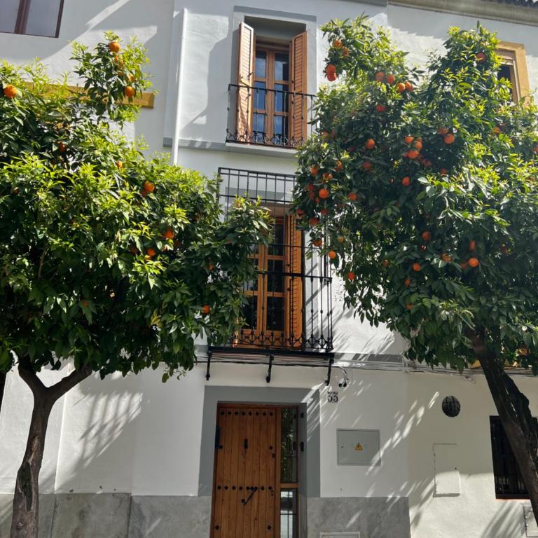 Casa Los Naranjos - Terraza en el Casco Histórico - Casa de 2 dormitorios - 49