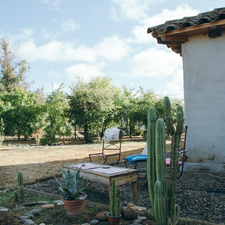 Casona La Masia, Pelarco - Casa de 2 dormitorios - 9