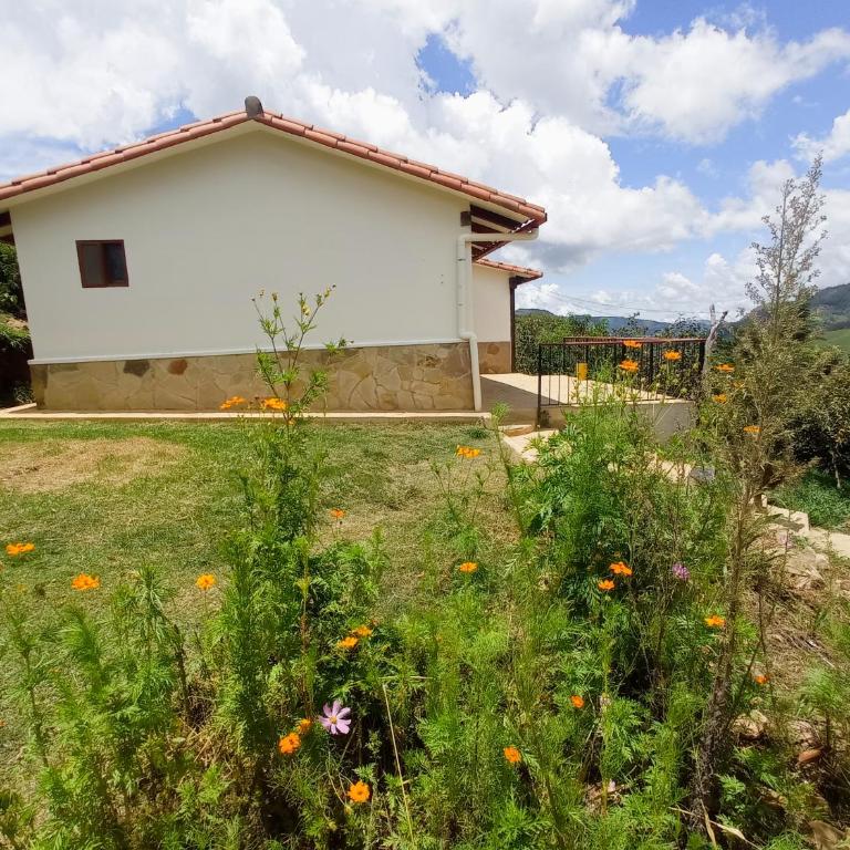 Casa Gaia - Casa de 2 dormitorios - 9