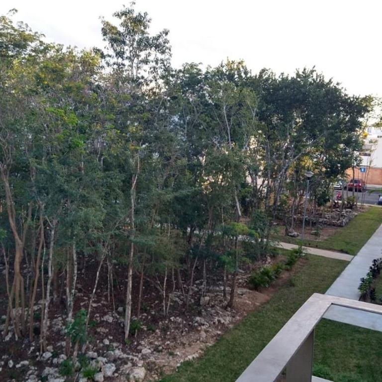 Departamento Turquesa - Three-Bedroom Apartment - 11