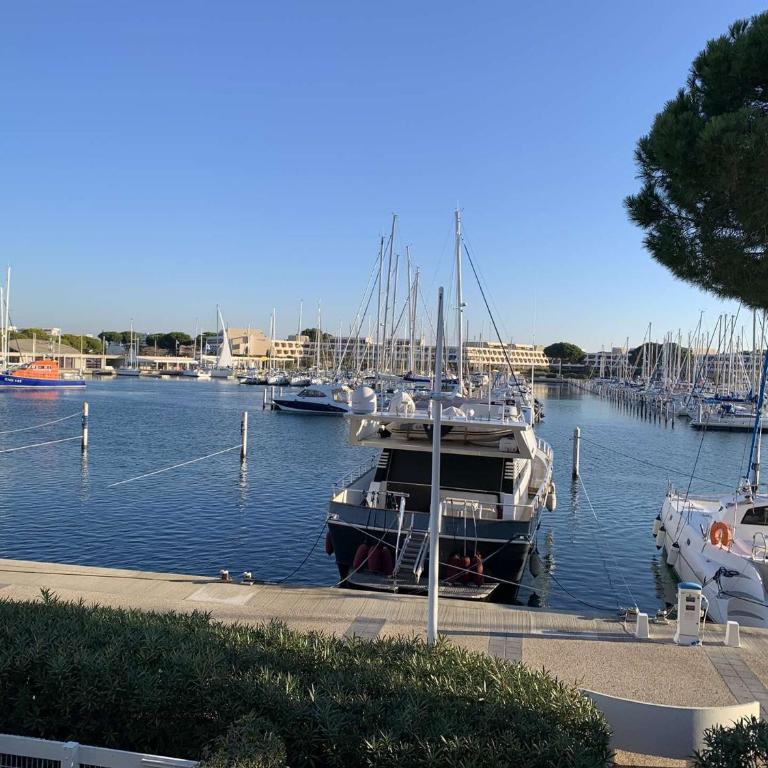 Appartement 2 Pièces avec Terrasse et Parking à 50m Plage - Port Camargue - FR-1-731-136 - Apartment - 1