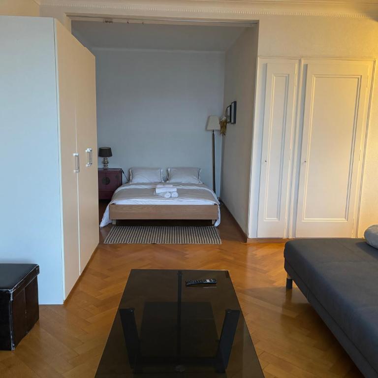 Between The Lausanne train station and Saint Francois - Apartment mit 1 Schlafzimmer - 3