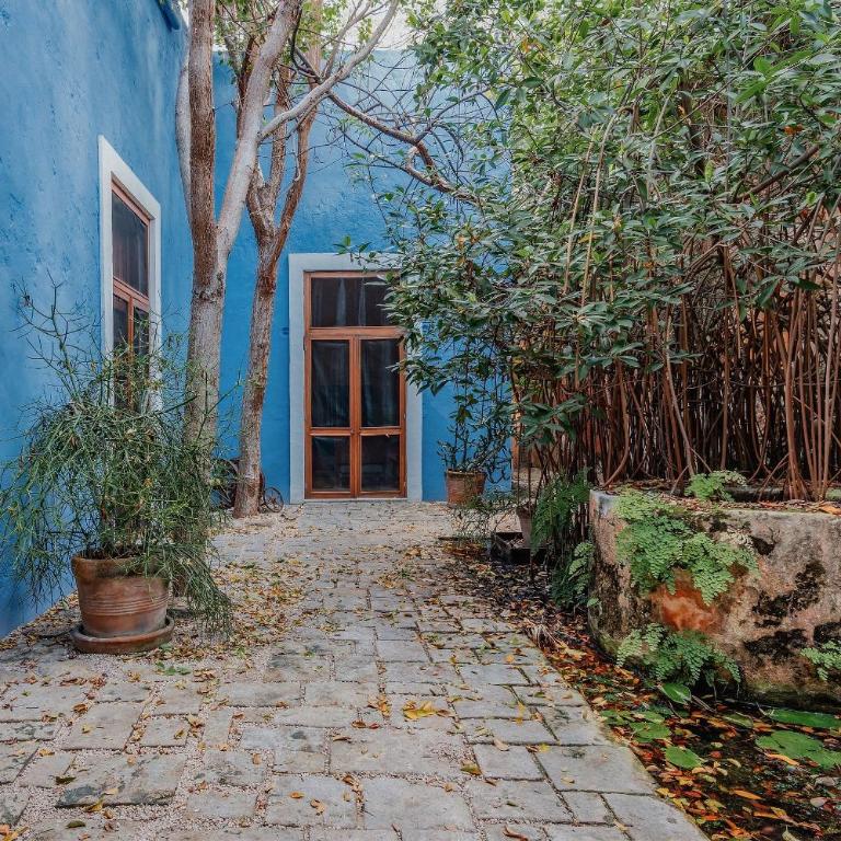 Casa Hacienda diseño de autor - Superior Villa - 31