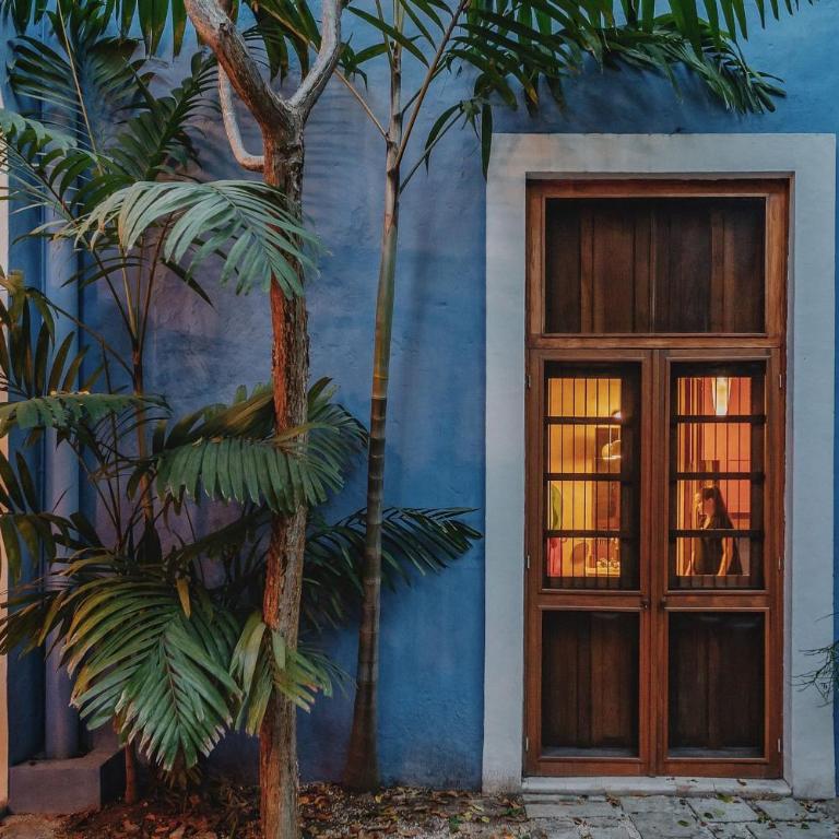 Casa Hacienda diseño de autor - Superior Villa - 39