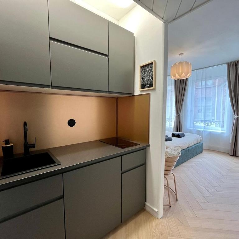 Premium Studio 300 m Grand-Place - hyper center Lille - Apartment mit 1 Schlafzimmer - 3