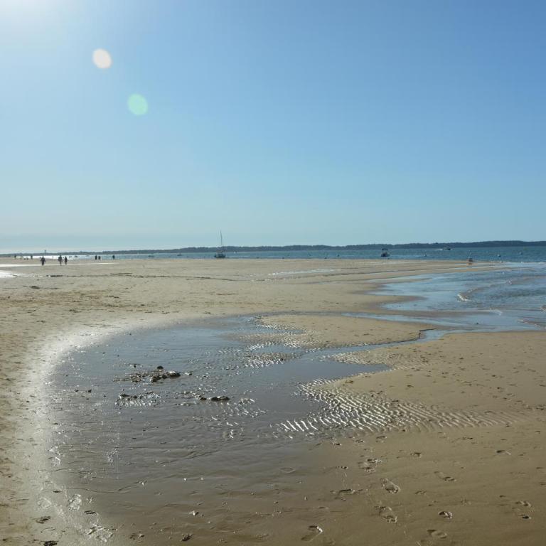 Le Bassin à vos pieds avec T2 Élégant entre Plage et Hyper Centre - Apartment mit 1 Schlafzimmer - 20
