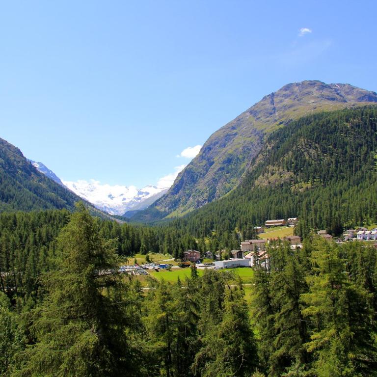 Hotel Saratz Pontresina Mountain Resort & Spa - Comfort Zimmer mit Südblick - 11