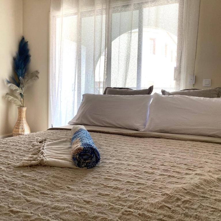 CasaValentinaFuerteVentura - Apartamento de 1 dormitorio - 13